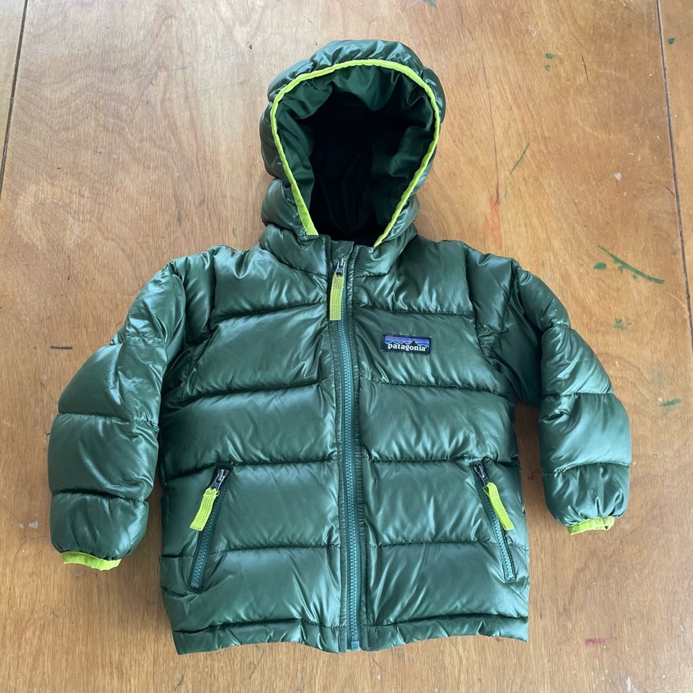 Patagonia Baby hi-loft down sweater hooded jacket - 12-18 months
